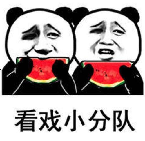 娱乐吃瓜酱专属梗