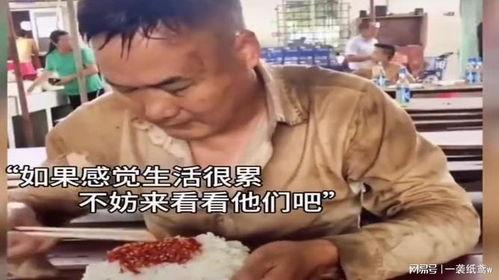 人间疾苦娱乐吃瓜酱,揭秘娱乐圈背后的酸甜苦辣