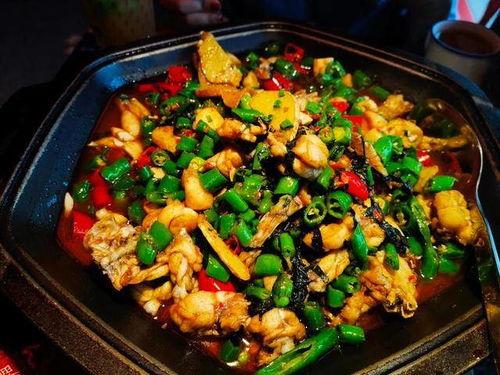 娱乐吃瓜酱牛蛙视频,牛蛙视频带你领略美食与娱乐的完美融合