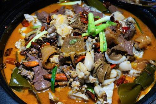 娱乐吃瓜酱牛蛙视频,牛蛙视频带你领略美食与娱乐的完美融合