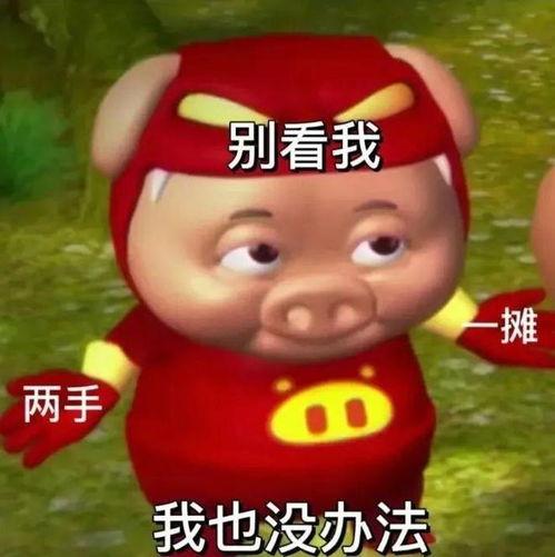 娱乐吃瓜酱猪猪侠